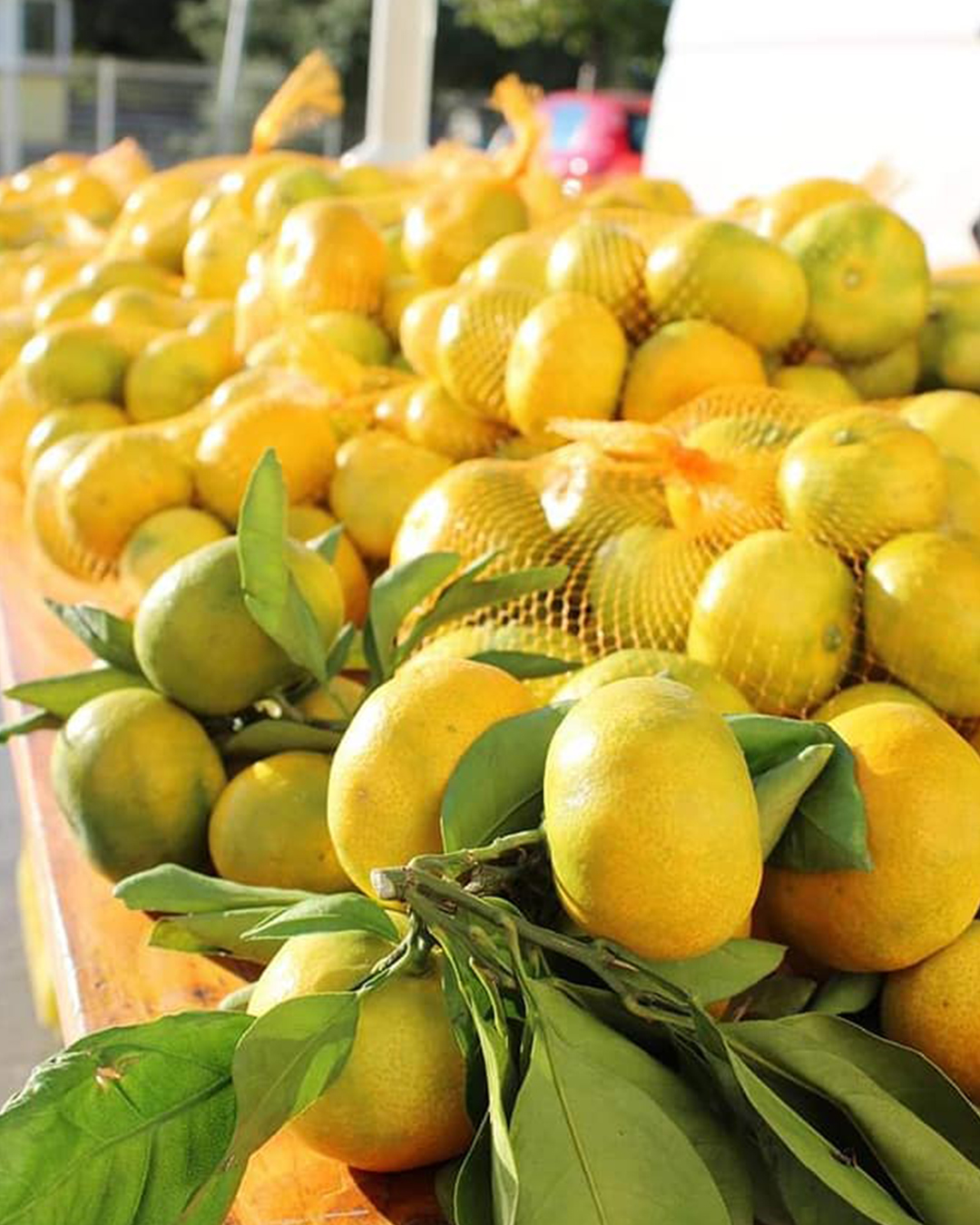 Prodaja domaćih mandarina ispred Bure Centra