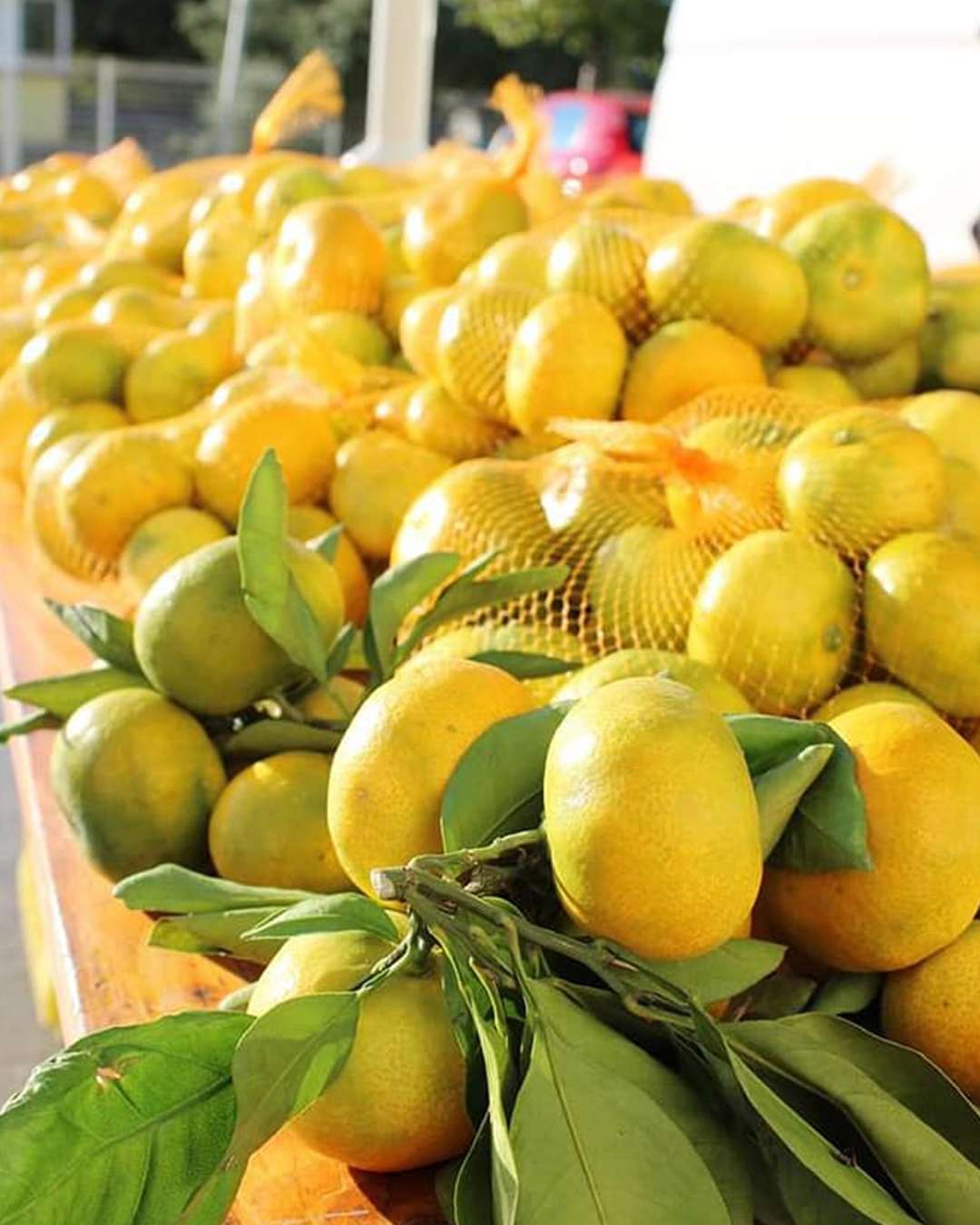 Prodaja domaćih mandarina ispred Bure Centra